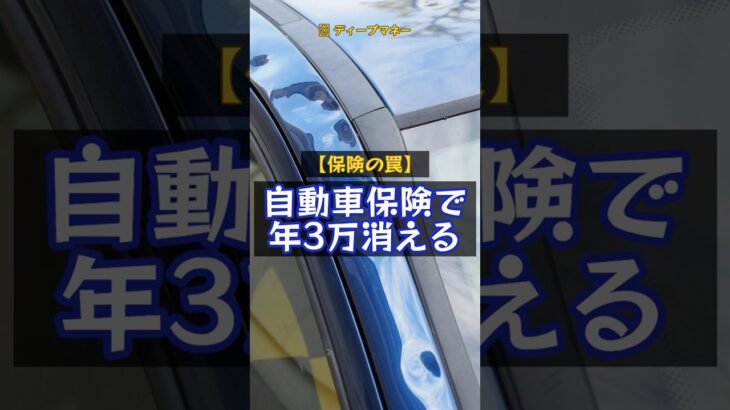 自動車保険で年3万消える