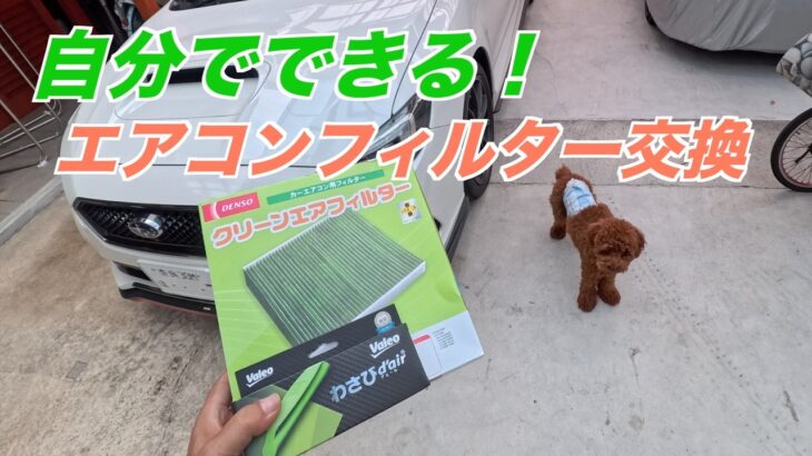 自分でできるレヴォーグメンテナンス　エアコンフィルター＆ わさびデェール 交換作業