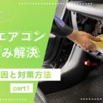 西泉店オススメシリーズ【エアフィルタ－&わさびd’air】