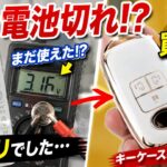 【1年で電池切れ!?】測ったら残量アリ…結局キーケース買いました