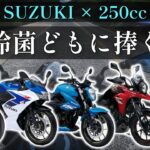 【初心者必見】スズキの250ccバイクはどれがオススメ？
