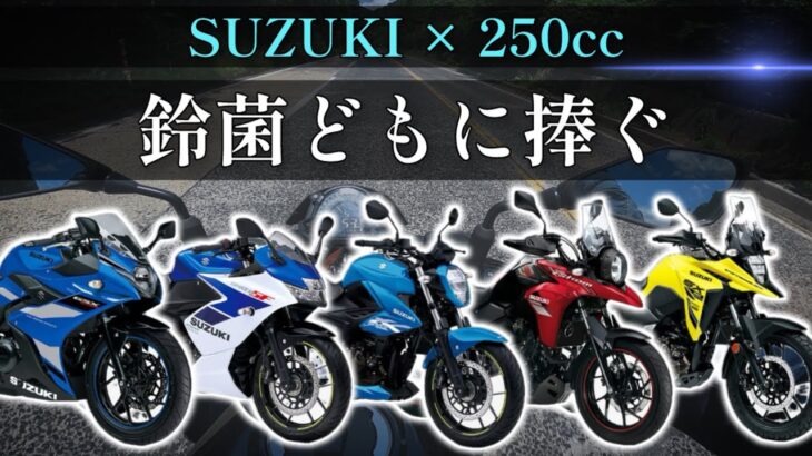 【初心者必見】スズキの250ccバイクはどれがオススメ？