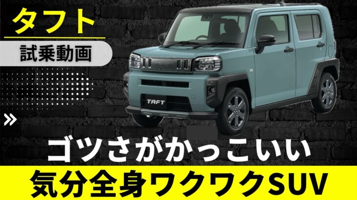 【タフト】ゴツさがカッコいい軽SUV　乗り心地は好みが分かれるかな？【DAIHATSU TAFT】