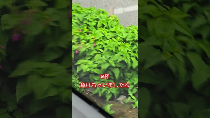 ガソリンスタンド知ってる？Knowgasstation?ワイパ交換のススメ #ワイパー #交換 #雨 #フロントガラス