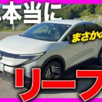 【試乗】新型 リーフ ZE2型 納車前チェック｜内装・外装を細かく確認！納車、カスタムする方必見情報！走り・乗り心地・静粛性を徹底レビュー！3代目日産リーフの実力は？#nissan #leaf