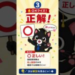 意外と間違える。試験によく出るポイントを黒猫先生がわかりやすく解説します！#保険クイズ #自賠責保険 #損害保険一般試験 #自動車保険