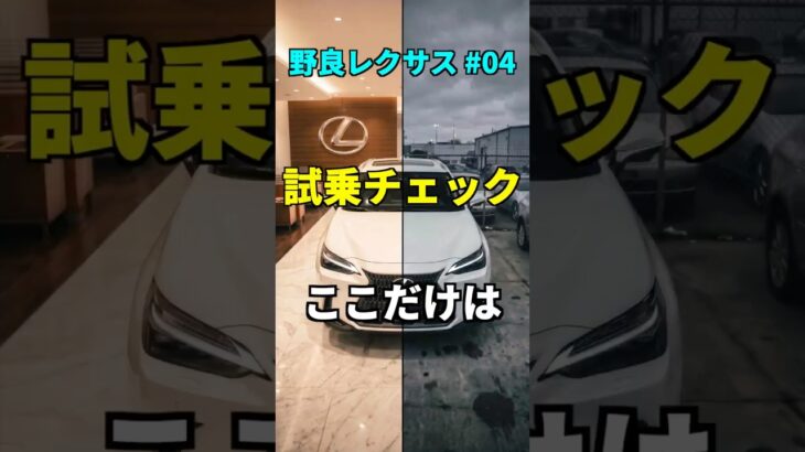 野良レクサスの試乗チェック項目　#NX