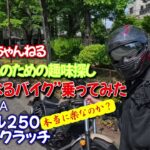 【趣味探し】”気になるバイク”乗ってみた_ホンダ レブル250_E-クラッチ（素直な試乗インプレ）