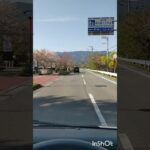 やっぱ最高だわ！ ハイゼットカーゴ 軽バン 道の駅 ドライブ #ダイハツ #ハイゼットカーゴ #アトレー #車好き #ドライブ #試乗 #子育て #泣き止む #クセになる #エブリイ #走行動画