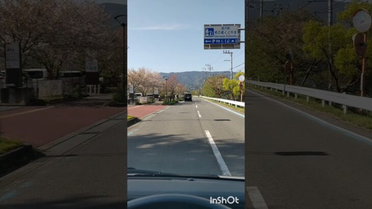 やっぱ最高だわ！ ハイゼットカーゴ 軽バン 道の駅 ドライブ #ダイハツ #ハイゼットカーゴ #アトレー #車好き #ドライブ #試乗 #子育て #泣き止む #クセになる #エブリイ #走行動画