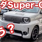 愛犬と試乗してきました！#電気自動車 #トイプードル#保護犬 #honda