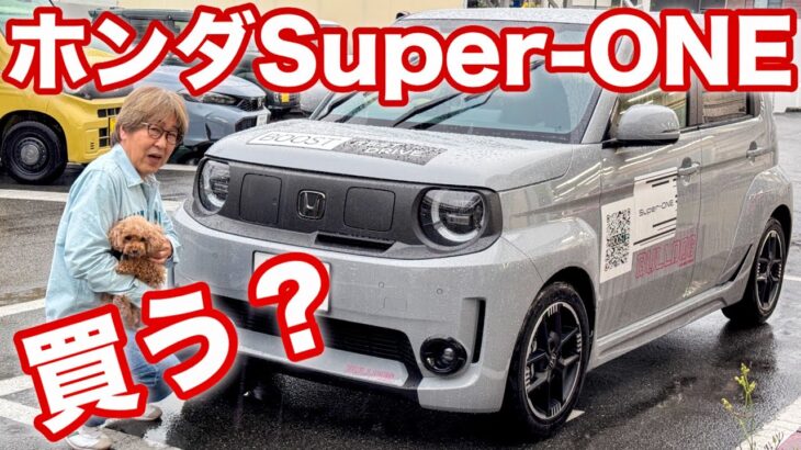 愛犬と試乗してきました！#電気自動車 #トイプードル#保護犬 #honda