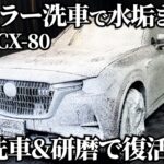 【洗車】大量の水垢で大惨事…試乗車上がりの「CX-80」を徹底洗車と研磨で深みを取り戻す detailing MAZDA CX-80