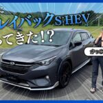 【ディーラースタッフ解説】スバル新型レイバックS:HEV 最速レビュー‼︎