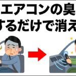 【消臭剤は逆効果】車のエアコンの臭いはこれだけで元から消えます　ライフハック雑学
