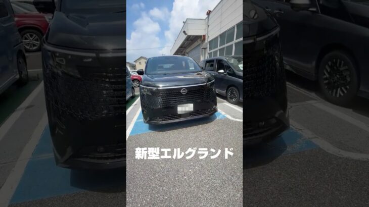 新型エルグランドに試乗してきました！　めちゃくちゃ走り良かった！　めちゃくちゃ内装豪華でした！　めちゃくちゃ価格高かったｗ　♯エルグランド　♯新型　♯日産　♯車　♯車好きと繋がりたい　♯愛車