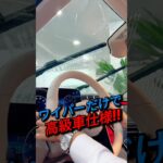 ワイパーを交換しただけで高級車みたいになりました