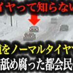 【超危険】タイヤ交換しない都会の高級車が関越道で事故…無知すぎるドライバーの末路がヤバすぎた【車解説】