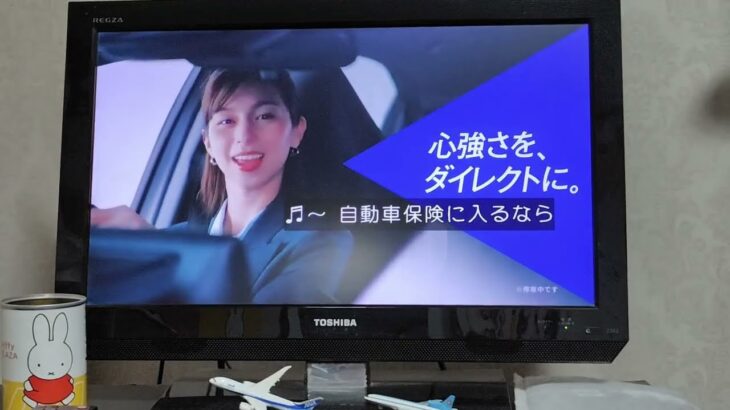 東京海上ダイレクト損害保険いざ、みんなが欲しかった自動車保険へ（字幕）