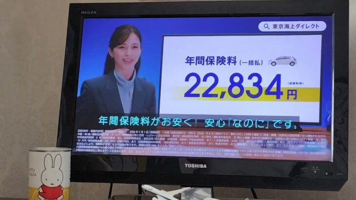 東京海上ダイレクト損害保険なのに編（字幕）