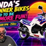 Honda VTR250 Review – Almost the Perfect Beginner Bike?!