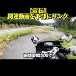 多分、GSF250だと思う　#試乗動画 #バイク