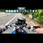 多分、GSX125だと思う　#gsxr125 #試乗動画