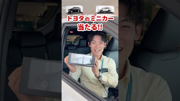 【トヨタのミニカー当たる🎁】夏の試乗フェア開催中〜🚗³₃ #トヨタ #試乗 #ドライブ #ミニカー #ハリアー #rav4 #toyota #shorts