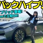 【ハイブリッド登場！】スバル レヴォーグ レイバック ハイブリッド を「BREEZE」の荏崎ろあがワインディング試乗！燃費リッター19キロ！全高も1550mmにローダウンして立駐もOK！
