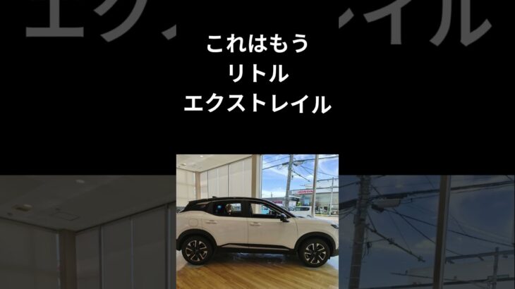 【これ、弟分じゃない…】エクストレイル乗りが新型キックスをガチ試乗！コンパクト初のe-4ORCEと新型e-POWERの走りに驚愕