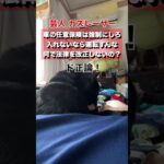 【ド正論】カズレーザー「車の任意保険は強制にしろ！無理なら運転すんな！」