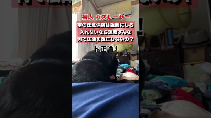 【ド正論】カズレーザー「車の任意保険は強制にしろ！無理なら運転すんな！」