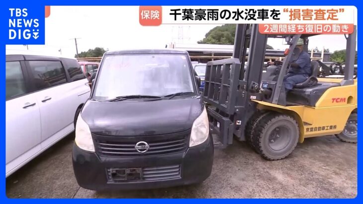 「乗りたくて買った車だから」一時2700台が路上に…千葉豪雨で水没 損保4社で計1万3887件の自動車保険請求 リモート査定でいち早い保険金支給も｜TBS NEWS DIG