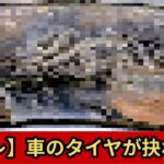 【スレ】車のタイヤが抉れてた