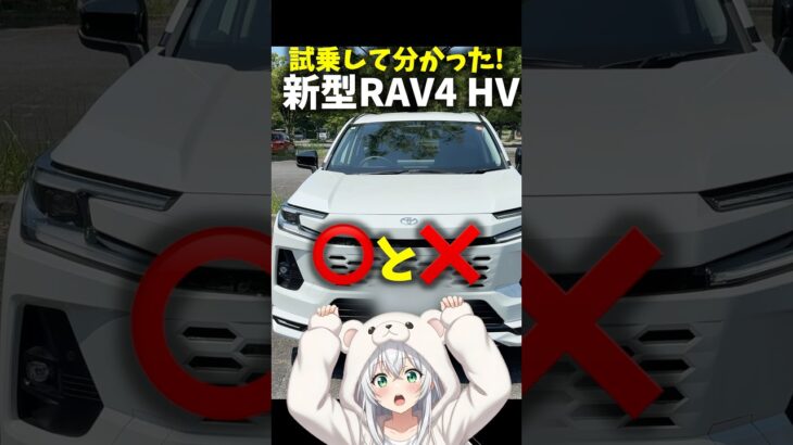 【◯と✕】トヨタ 新型 RAV4 試乗 乗って分かった良い点・悪い点！