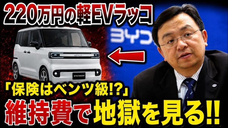 BYDラッコ、220万円の軽EVなのに保険料はベンツ級！修理費200万円で維持費の罠が発覚!!