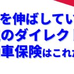 売上を伸ばしている人気のダイレクト型自動車保険はこれだ!?【2026年版】