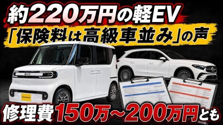 約220万円の軽EVなのに「保険料はメルセデス並み」の声!? BYDラッコ、150万〜200万円とも言われる修理費の衝撃