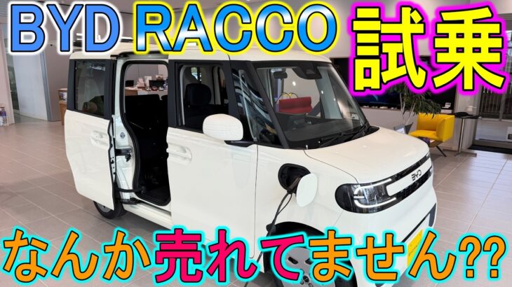 【新車】BYDのRACCO(ラッコ)試乗！なんか想定以上に売れてません？？