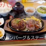 (千葉県)車検予約と新型エルグランドの試乗前にお肉