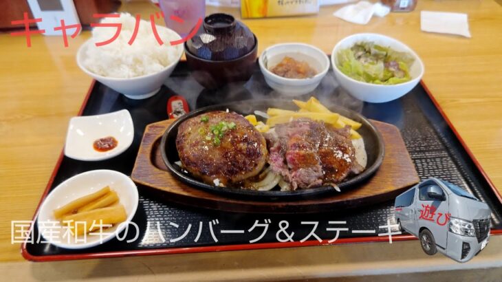 (千葉県)車検予約と新型エルグランドの試乗前にお肉