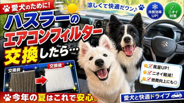 【ハスラーJスタイル】エアコンフィルター交換🔧愛犬を暑さから守れ🐶ハスラー夏の快適化クエスト！☺️#ハスラー #エアコンフィルター #交換  #ボーダーコリー #サモエド