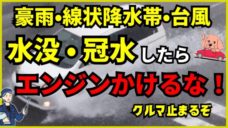 【2026最新】車が水没！危険レベルとNG行動・保険対策【4分間解説】