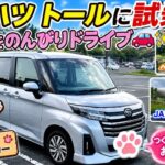 「ダイハツ トールに試乗！つくばをのんびりドライブ🚗✨｜ペニーレイン＆JAXA筑波宇宙センター」