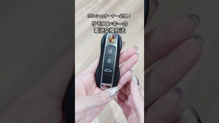 【911 Turbo S】リモコンキー電池交換方法🔑