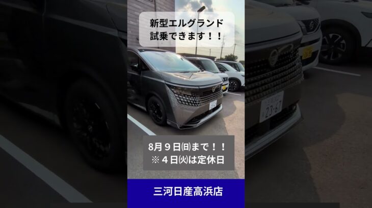 新型エルグランド 試乗できます！！in 高浜店