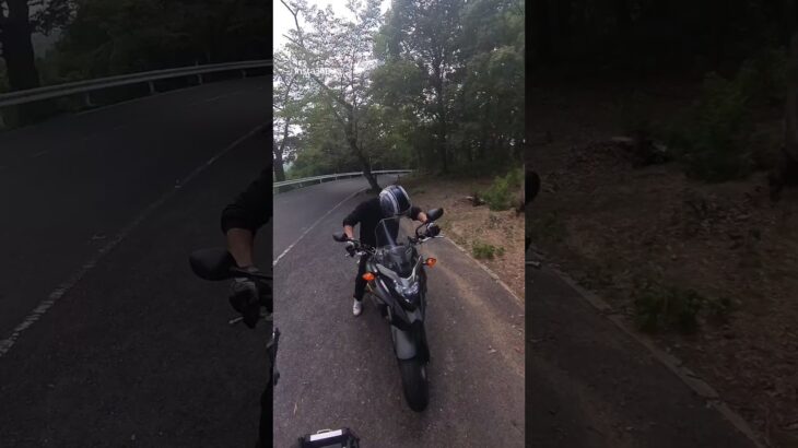 CFMOTO 450MT 試乗｜奈良奥山ドライブウェイの絶景ツーリング！
