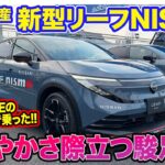 日産 リーフニスモ【特別試乗】 フォーミュラEの特設コースで乗った!!　しなやかさと走る楽しさを高次元で両立!! E-CarLife with 五味やすたか