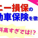ソニー損保の自動車保険を徹底分析 〜 2026年版【意味不明に高い保険料!】