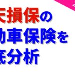 楽天損保の自動車保険を徹底分析 〜 2026年版【コスパ良いですよ！】